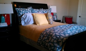 Home in Frisco, TX
